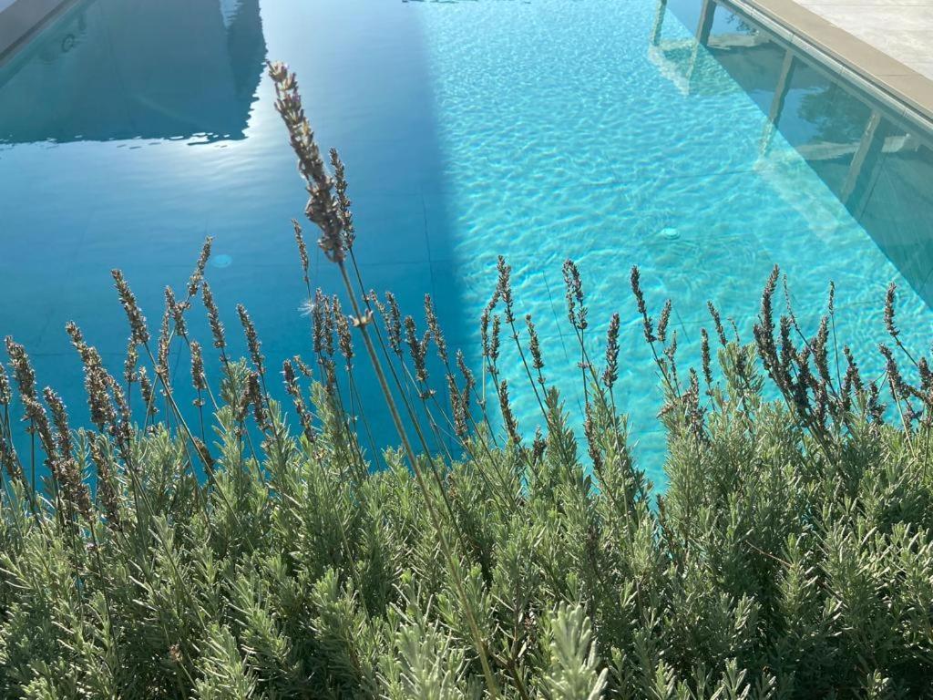 Rosemarine Villas Durrës Extérieur photo